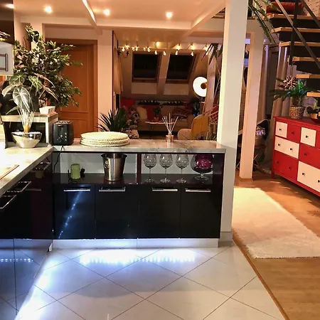 Duplex With Quite Terrace On Wenceslas Sq. براغ