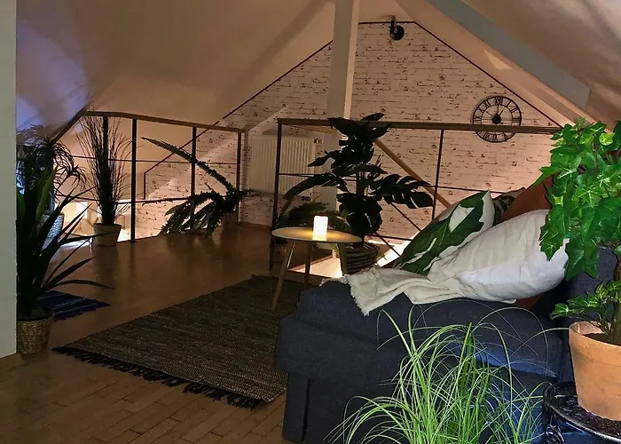 Duplex With Quite Terrace On Wenceslas Sq. * Praha