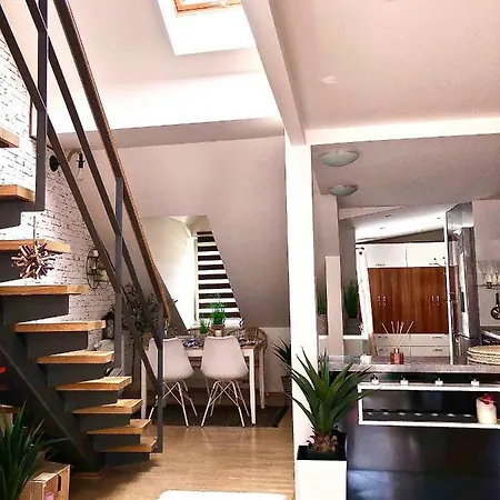 公寓 Duplex With Quite Terrace On Wenceslas Sq. *
