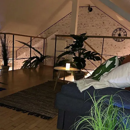 Duplex With Quite Terrace On Wenceslas Sq. * 布拉格